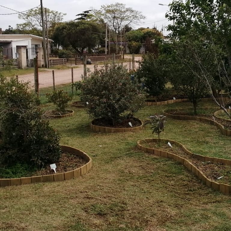 Bosque Comestible Centro Cultural Shangrilá